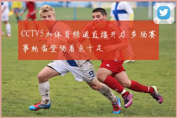 CCTV5加体育频道直播开启 多场赛事轮番登场看点十足