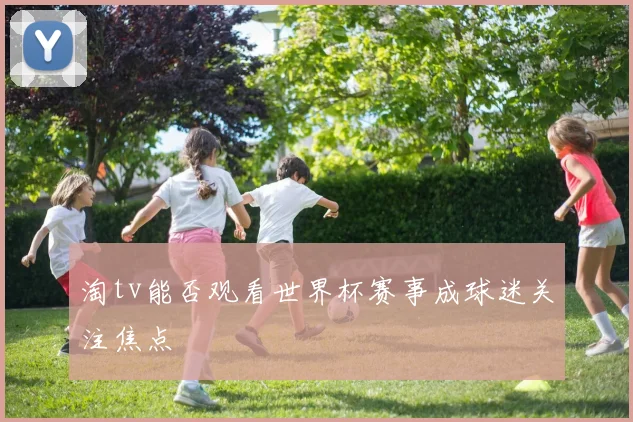 淘tv能否观看世界杯赛事成球迷关注焦点