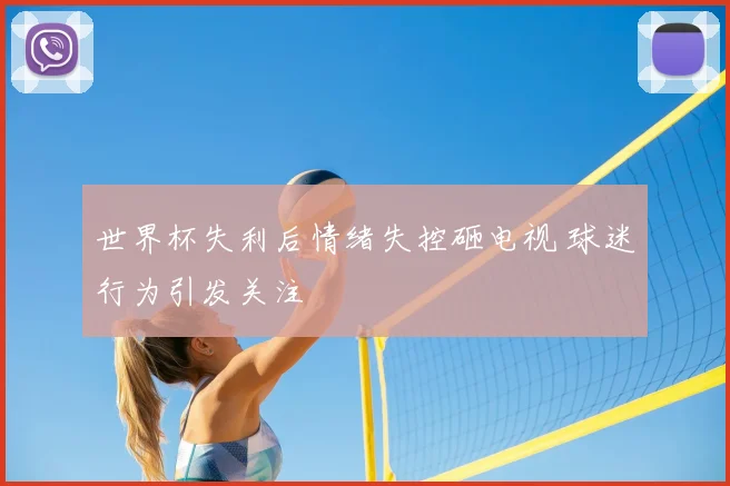 世界杯失利后情绪失控砸电视 球迷行为引发关注