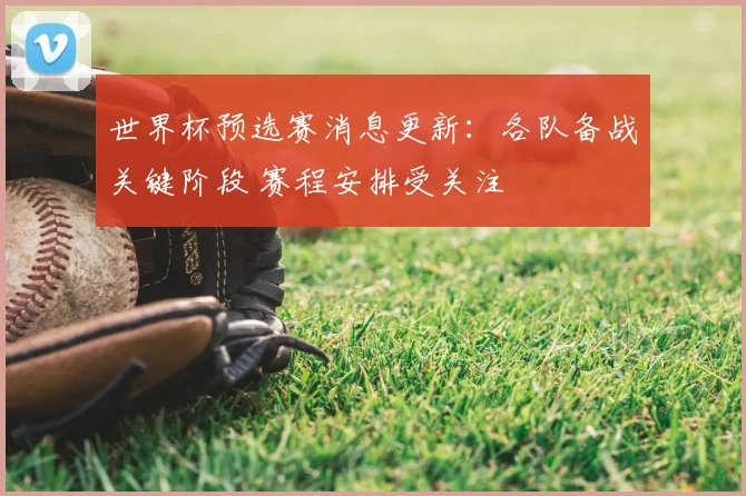 世界杯预选赛消息更新:各队备战关键阶段 赛程安排受关注