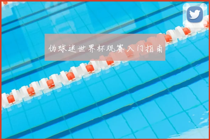伪球迷世界杯观赛入门指南