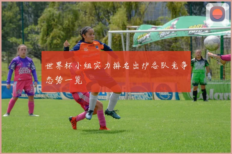 世界杯小组实力排名出炉各队竞争态势一览