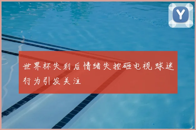 世界杯失利后情绪失控砸电视 球迷行为引发关注