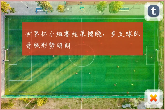 世界杯小组赛结果揭晓，多支球队晋级形势明朗