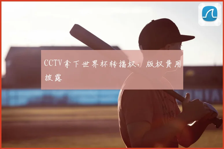 CCTV拿下世界杯转播权,版权费用披露
