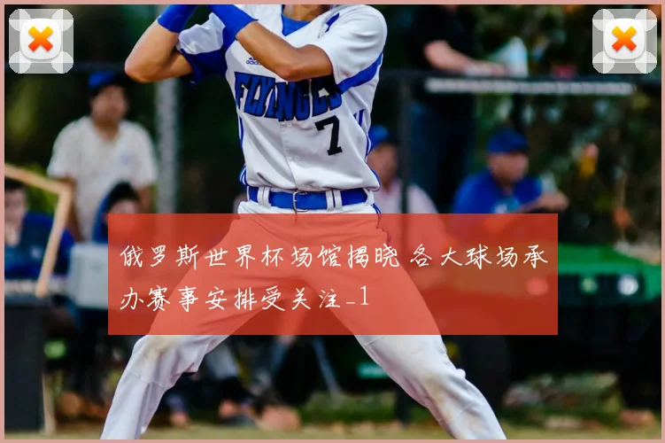 俄罗斯世界杯场馆揭晓 各大球场承办赛事安排受关注_1