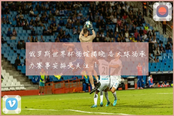 俄罗斯世界杯场馆揭晓 各大球场承办赛事安排受关注_1