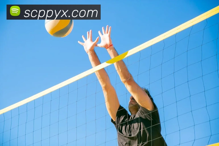 世界杯开户平台APP 封面图